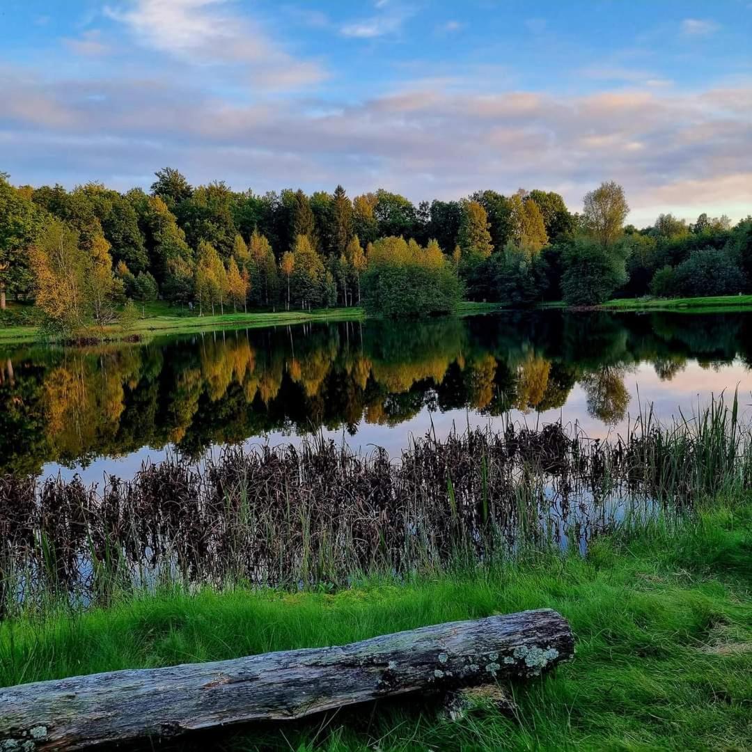 Tallhojden Hotel & Cottage Lodge Simlangsdalen Bagian luar foto